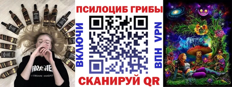 Псилоцибиновые грибы MAGIC MUSHROOMS  mega зеркало  Новотитаровская 